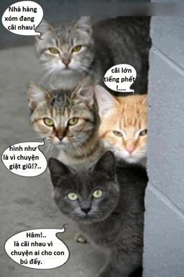 tu ngay co cho livestream the gioi chi em eva duong nhu binh yen hon han