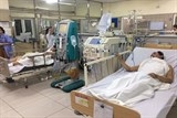 vu ngo doc nam o lang son 1 truong hop da tu vong
