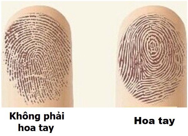 ban co tin nhin duoc hoa tay co the biet duoc van menh cua mot nguoi