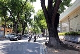 bac bo nang tren dien rong nam bo buoc vao cao diem nang nong