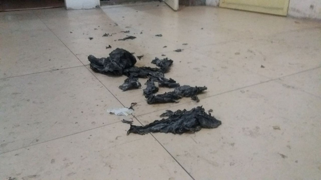 nghi an chau viet cuong sat hai co gai tre tai phong tro nan nhan ao giac bi ma nhap nam ca si rac toi de tru ta