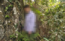 tim ra nguyen nhan hai bo con bi sat hai da man o lang son