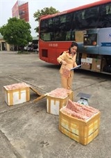 thanh hoa bat xe van chuyen 180 kg thuc pham khong ro nguon goc