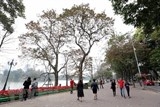 du kien xuat hien khoang 3 4 dot khong khi lanh trong thang ba