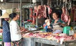 Cần Thơ chỉ đạo cấp bách phòng, chống dịch tả lợn châu Phi
