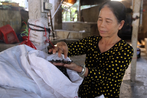 oc dinh cung xuat ngoai