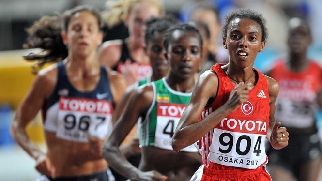 the thao trong nuoc quoc te diem tin ngay 142016