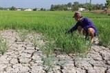 Ngày mai nước thượng nguồn sông Mekong về tới miền Tây