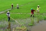 Nước về ĐBSCL không phải do Trung Quốc xả đập