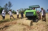Thu 10 triệu đồng mỗi ngày nhờ máy thu gom rơm