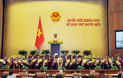 danh sach nhan su cap cao duoc kien toan tai ky hop 11