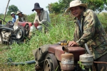 nang nong lan rong co noi nhiet do tren 38 c