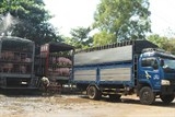 Cảnh báo nguy cơ thương lái Trung Quốc ồ ạt mua thịt lợn Việt Nam