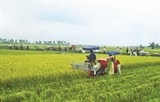bao argentina nong nghiep viet nam tim kiem dau tu