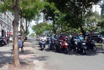 bac bo mua giong vai noi nam bo nang nong