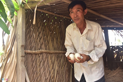 chuyen bay gio moi ke ve nguoi nong dan dung cai choi vit bi khoi to hinh su