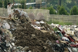 hn xu ly nghiem cac truong hop vi pham ve de dieu o quan tay ho