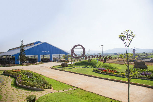 kham pha trang trai bo sua vinamilk organic da lat cung xuan bac