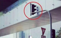 13 tham hoa xay dung cua cac kien truc su cay nha la vuon