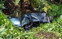 xe cho pho tong giam doc evn lao xuong vuc sau 40m