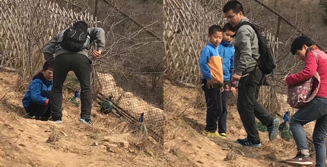 trung quoc di choi so thu du khach nhay vao chuong vat long chim cong de lam qua luu niem