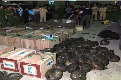 hoa binh bat 1 xe o to cho 118 ca the te te