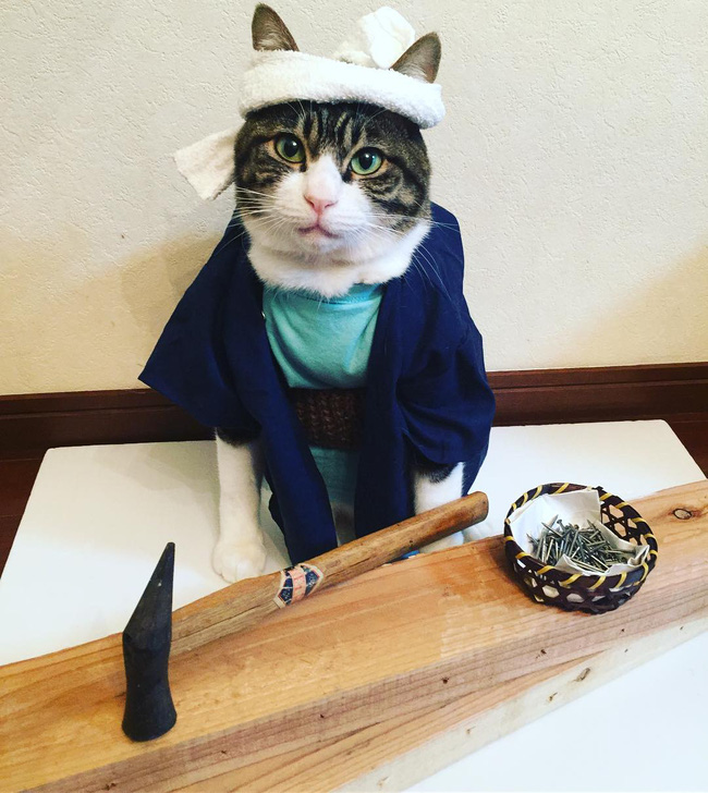 dai su meo cute di truyen ba van hoa nhat ban