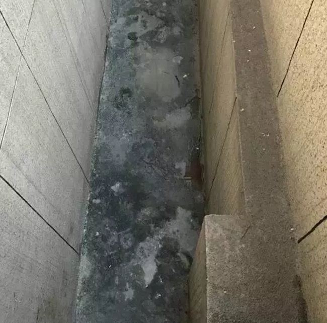 khong an duoc dap do to tinh bat thanh nam thanh nien thang tay day ban hoc tu tang 19 xuong dat