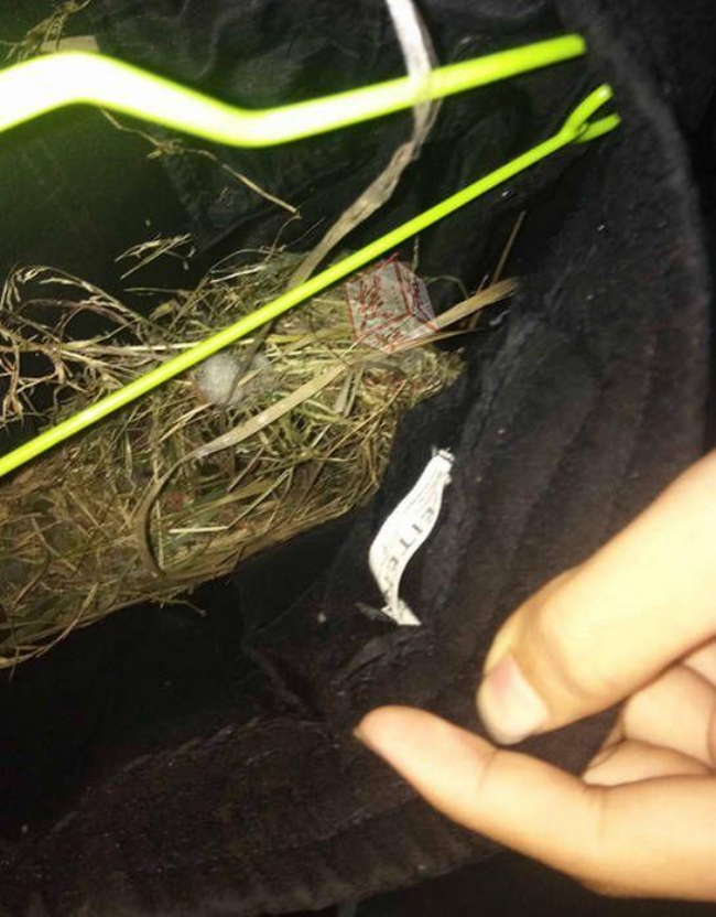 nam thanh nien phoi quan 2 tuan luoi khong rut bi bay chim xam chiem lam nguyen cai to ben trong