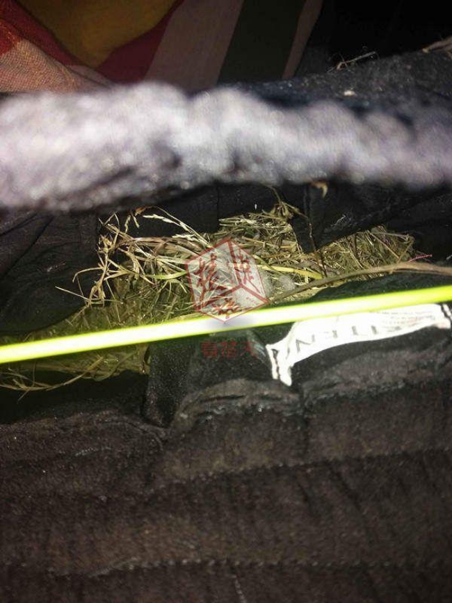 nam thanh nien phoi quan 2 tuan luoi khong rut bi bay chim xam chiem lam nguyen cai to ben trong