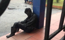 buc anh giac ngu voi cua anh tho mo khien cong dong mang xuc dong