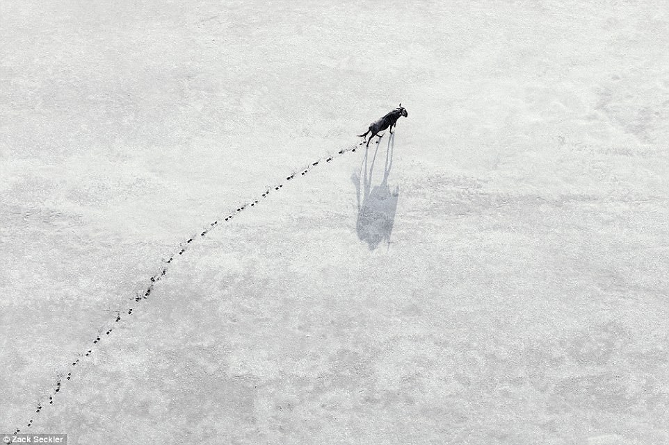 nhung hinh anh mo mang cua canh quan thien hoang da nam phi