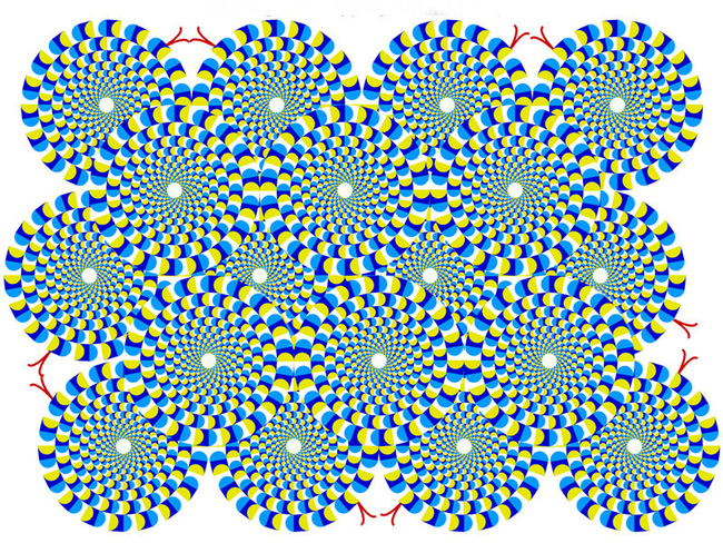 ra ma xem chu meo bi ngao nang sau khi xem tranh ao giac nay