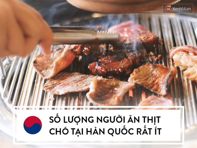 di han quoc nho bo tui ngay 10 dieu thu vi khong phai ai cung biet ve dat nuoc nay