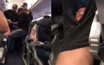 mot nhan vien hang khong my bi sa thai sau vu viec bac si chau a bi loi tho bao khoi may bay