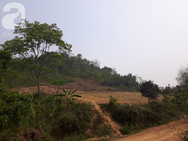 hoa binh nghi an co giao mam non bi ham hiep roi sat hai thi the vut giua rung