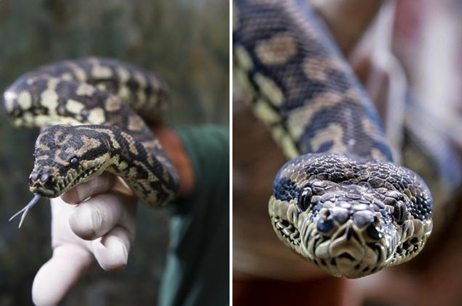 tran phe ma tuy da cai nghien thanh cong sau mot nam nhap trai