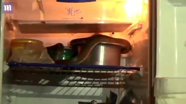 troi nang nong ran len vao tu lanh de ngu cho mat
