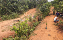 vu co giao mam non nghi bi ham hiep roi sat hai nghi pham la mot thanh nien cung xa