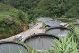 du lich trai nghiem ngay tai trang trai ca hoi o lao cai
