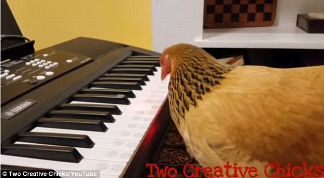 dep het au lo de lang nghe ban nhac piano do ga mai danh