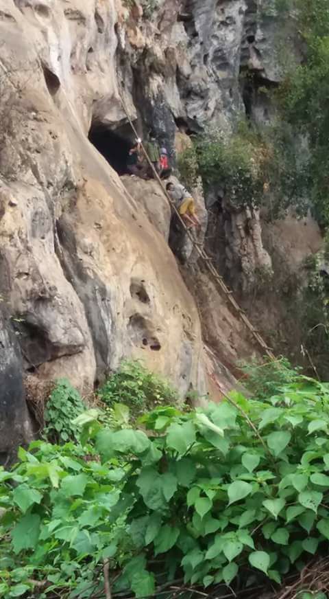 thi the boc mui trong hang da chinh la nghi pham giet hai nu giao vien tuong lai