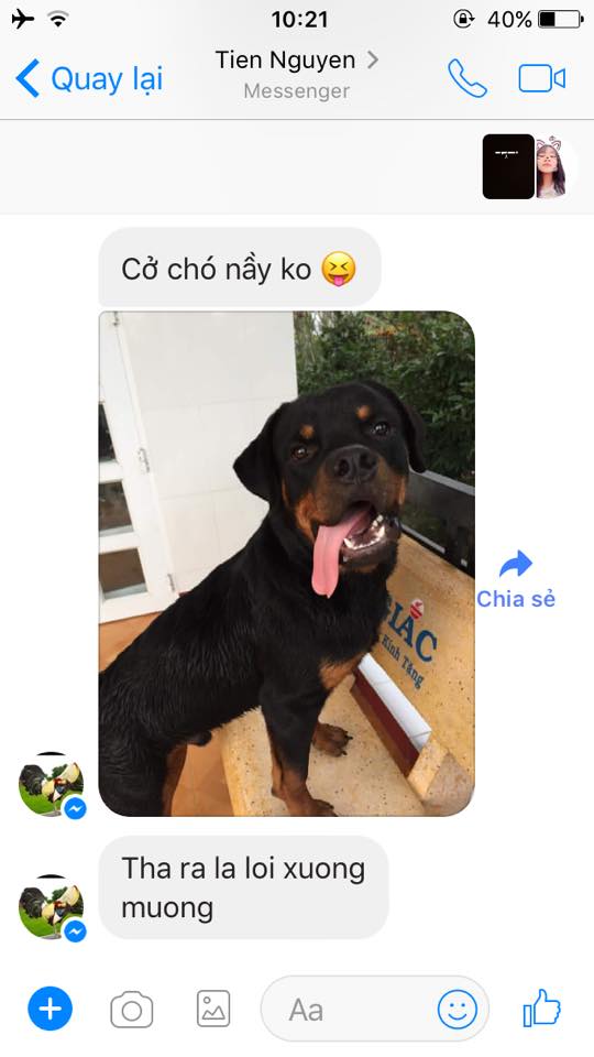 muon van kieu hai huoc dang yeu khi phu huynh dung mang xa hoi