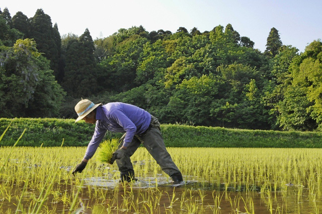 viet nam hoc duoc gi tu thanh cong mo rong han dien nhat ban da dat duoc