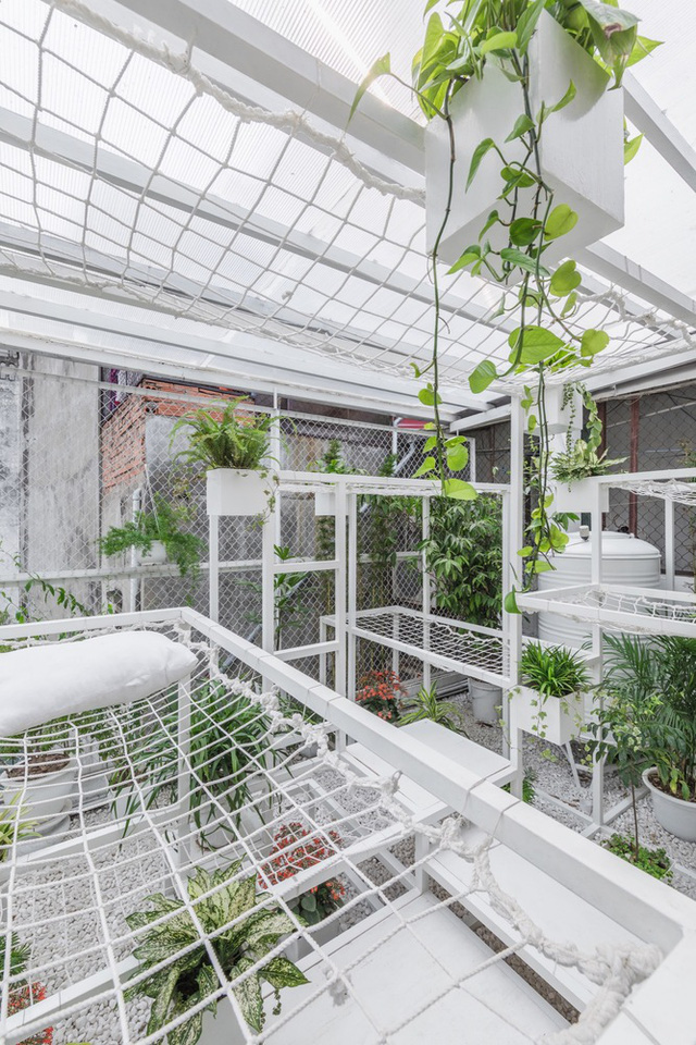 tang thuong xanh tuoi giua khu dong da cua kien truc su nguoi viet len bao nuoc ngoai