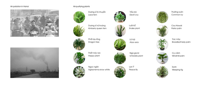 tang thuong xanh tuoi giua khu dong da cua kien truc su nguoi viet len bao nuoc ngoai