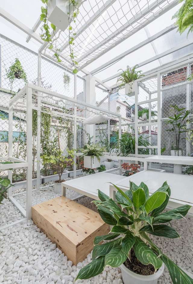 tang thuong xanh tuoi giua khu dong da cua kien truc su nguoi viet len bao nuoc ngoai