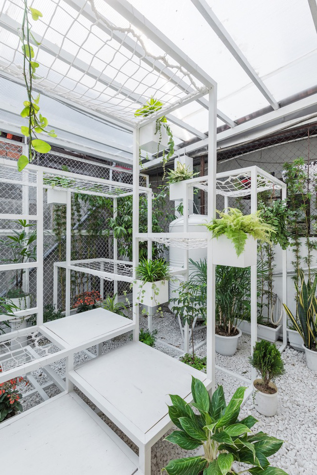 tang thuong xanh tuoi giua khu dong da cua kien truc su nguoi viet len bao nuoc ngoai