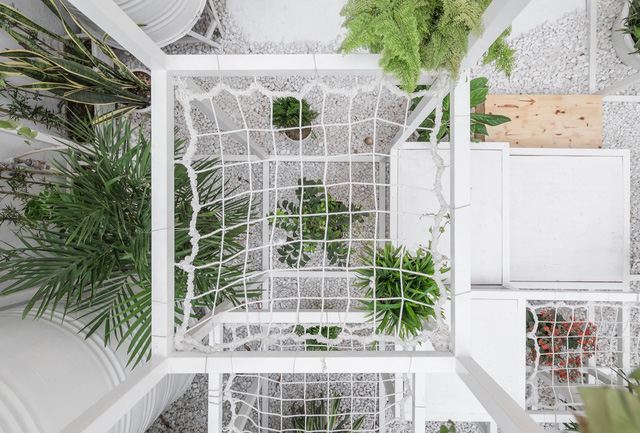 tang thuong xanh tuoi giua khu dong da cua kien truc su nguoi viet len bao nuoc ngoai