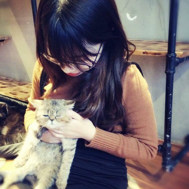 nho dan mang chap canh uoc mo co nang bong choc hoa tro cuoi cho nguoi bon phuong